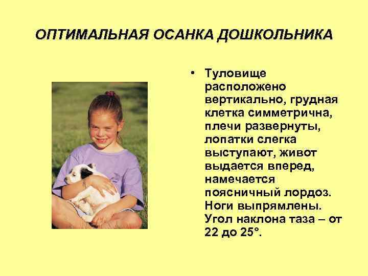 ОПТИМАЛЬНАЯ ОСАНКА ДОШКОЛЬНИКА • Туловище расположено вертикально, грудная клетка симметрична, плечи развернуты, лопатки слегка