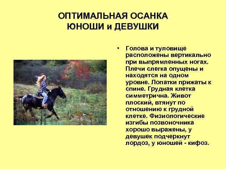 ОПТИМАЛЬНАЯ ОСАНКА ЮНОШИ и ДЕВУШКИ • Голова и туловище расположены вертикально при выпрямленных ногах.