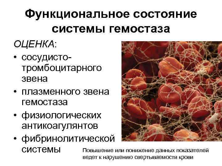 Функциональное состояние системы гемостаза ОЦЕНКА: • сосудистотромбоцитарного звена • плазменного звена гемостаза • физиологических