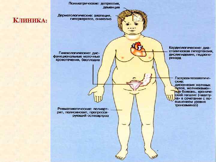 КЛИНИКА: 