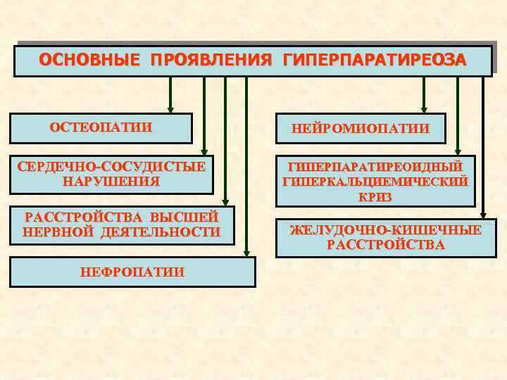 ОСНОВНЫЕ ПРОЯВЛЕНИЯ ГИПЕРПАРАТИРЕОЗА ОСТЕОПАТИИ СЕРДЕЧНО-СОСУДИСТЫЕ НАРУШЕНИЯ РАССТРОЙСТВА ВЫСШЕЙ НЕРВНОЙ ДЕЯТЕЛЬНОСТИ НЕФРОПАТИИ НЕЙРОМИОПАТИИ ГИПЕРПАРАТИРЕОИДНЫЙ ГИПЕРКАЛЬЦИЕМИЧЕСКИЙ