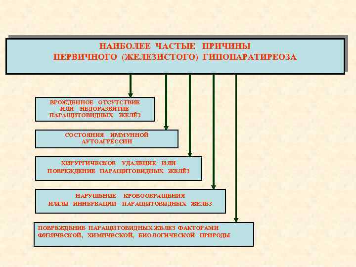 НАИБОЛЕЕ ЧАСТЫЕ ПРИЧИНЫ ПЕРВИЧНОГО (ЖЕЛЕЗИСТОГО) ГИПОПАРАТИРЕОЗА ВРОЖДЕННОЕ ОТСУТСТВИЕ ИЛИ НЕДОРАЗВИТИЕ ПАРАЩИТОВИДНЫХ ЖЕЛЁЗ СОСТОЯНИЯ ИММУННОЙ