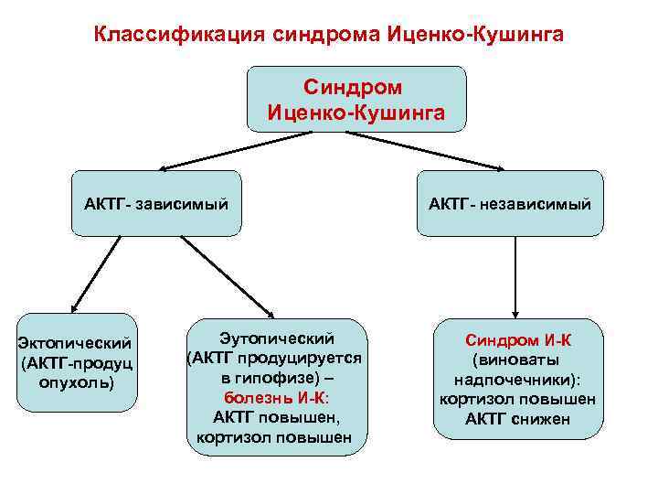 Схема этиологии и патогенеза болезни иценко кушинга