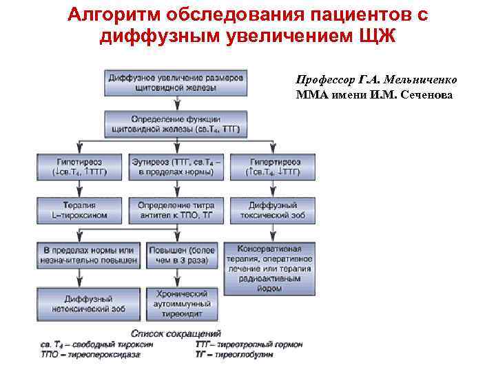 Алгоритм обследования пациентов с диффузным увеличением ЩЖ Профессор Г. А. Мельниченко ММА имени И.