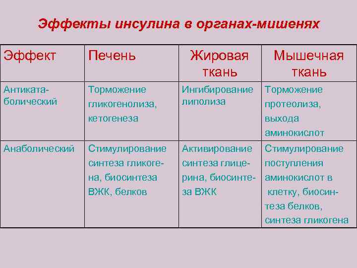 Эффекты инсулина в органах-мишенях Эффект Печень Жировая ткань Мышечная ткань Антикатаболический Торможение гликогенолиза, кетогенеза