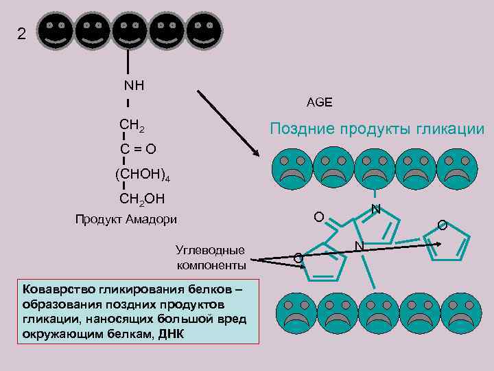 2 NH AGE CH 2 Поздние продукты гликации C = O (CHOH)4 CH 2