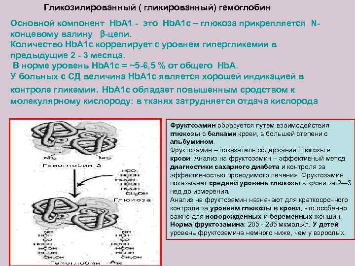 Гликозилированный ( гликированный) гемоглобин Основной компонент Hb. A 1 - это Hb. A 1