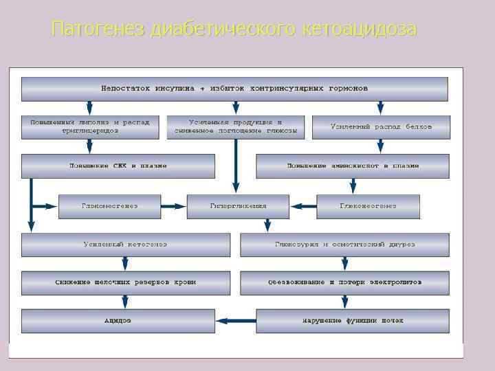 Патогенез диабетического кетоацидоза 