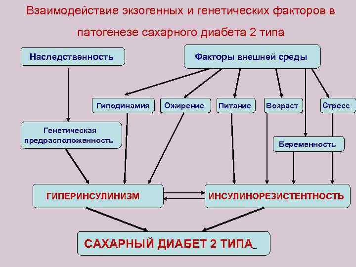 Взаимодействие экзогенных и генетических факторов в патогенезе сахарного диабета 2 типа Наследственность Гиподинамия Факторы