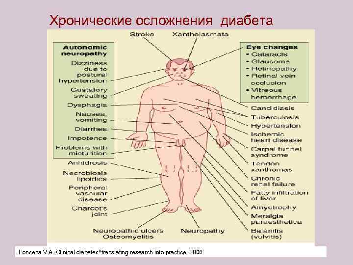 Хронические осложнения диабета Fonseca V. A. Clinical diabetes^translating research into practice. 2006 