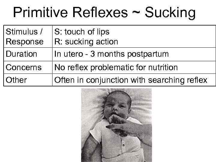 Primitive Reflexes ~ Sucking Stimulus / Response Duration S: touch of lips R: sucking