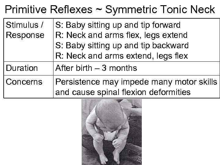 Primitive Reflexes ~ Symmetric Tonic Neck Stimulus / Response Duration Concerns S: Baby sitting
