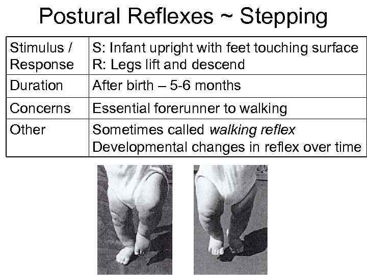 Postural Reflexes ~ Stepping Stimulus / Response Duration S: Infant upright with feet touching