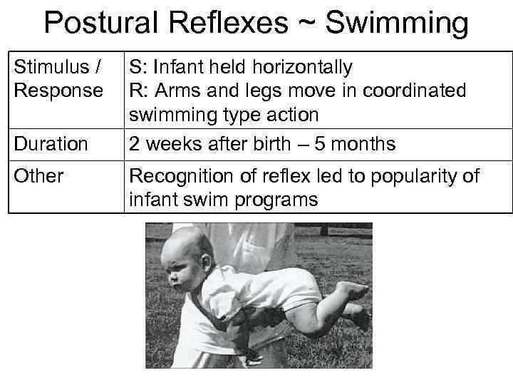 Postural Reflexes ~ Swimming Stimulus / Response Duration Other S: Infant held horizontally R: