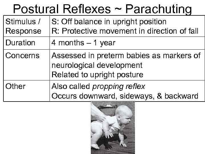 Postural Reflexes ~ Parachuting Stimulus / Response Duration S: Off balance in upright position