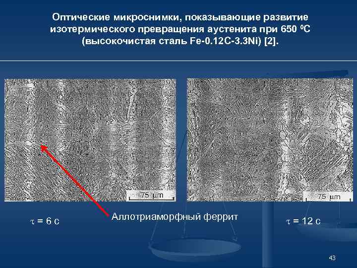 Оптические микроснимки, показывающие развитие изотермического превращения аустенита при 650 0 C (высокочистая сталь Fe-0.