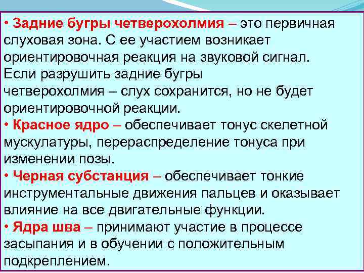  • Задние бугры четверохолмия – это первичная слуховая зона. С ее участием возникает