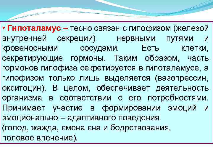  • Гипоталамус – тесно связан с гипофизом (железой внутренней секреции) нервными путями и