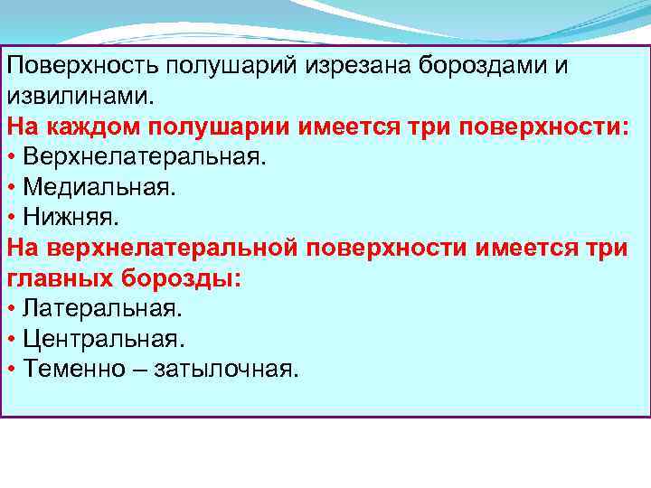 Поверхность полушарий изрезана бороздами и извилинами. На каждом полушарии имеется три поверхности: • Верхнелатеральная.