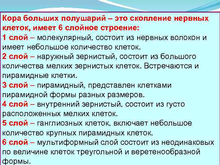 Кора больших полушарий – это скопление нервных клеток, имеет 6 слойное строение: 1 слой