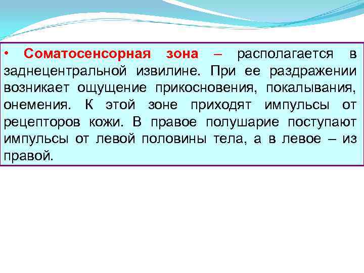  • Соматосенсорная зона – располагается в заднецентральной извилине. При ее раздражении возникает ощущение