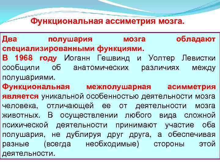 Функциональная ассиметрия мозга. Два полушария мозга обладают специализированными функциями. В 1968 году Иоганн Гешвинд