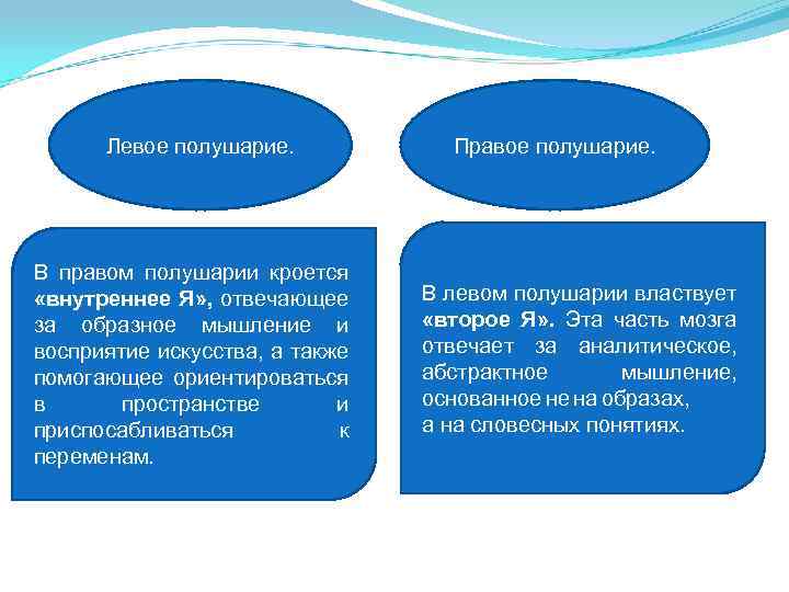 Левое полушарие. В правом полушарии кроется «внутреннее Я» , отвечающее за образное мышление и