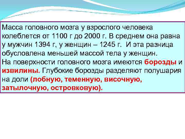 Вес мозга взрослого. Масса головного мозга у взрослого человека колеблется.