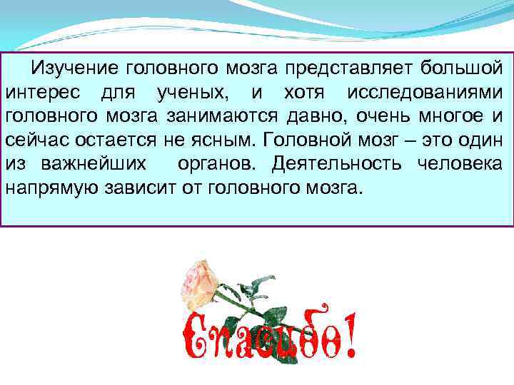 Изучение головного мозга представляет большой интерес для ученых, и хотя исследованиями головного мозга занимаются
