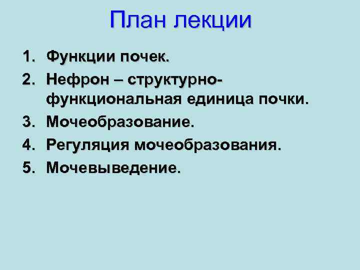 План лекции 1. Функции почек. 2. Нефрон – структурнофункциональная единица почки. 3. Мочеобразование. 4.