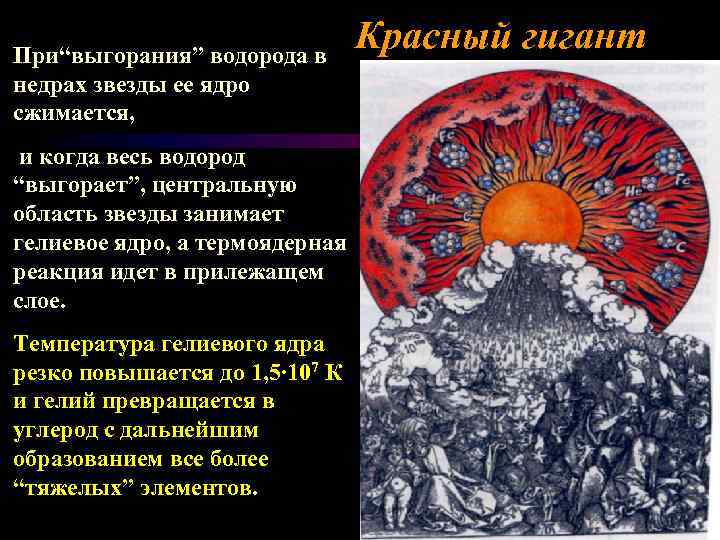 При“выгорания” водорода в недрах звезды ее ядро сжимается, и когда весь водород “выгорает”, центральную