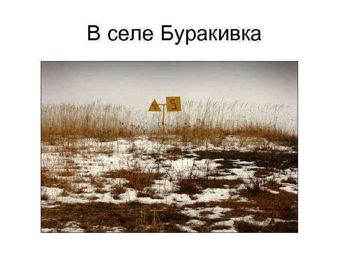 В селе Буракивка 