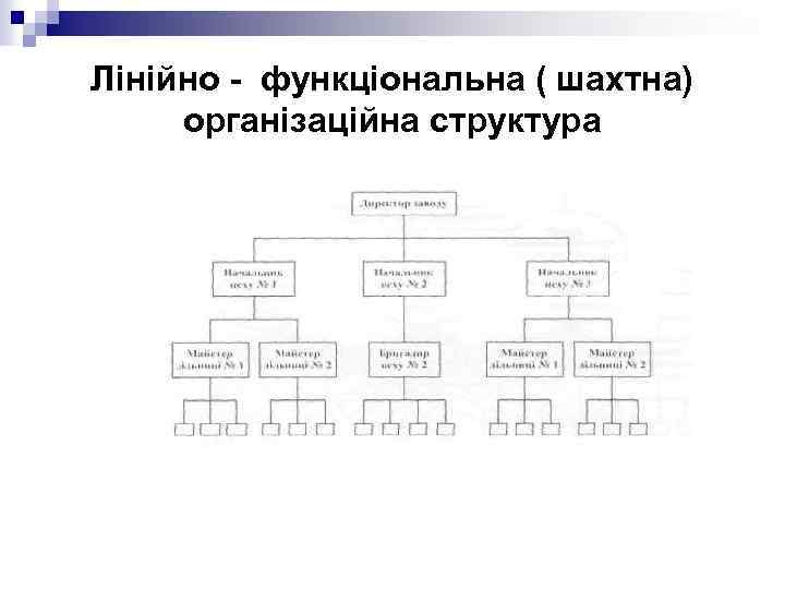 Лінійно - функціональна ( шахтна) організаційна структура 