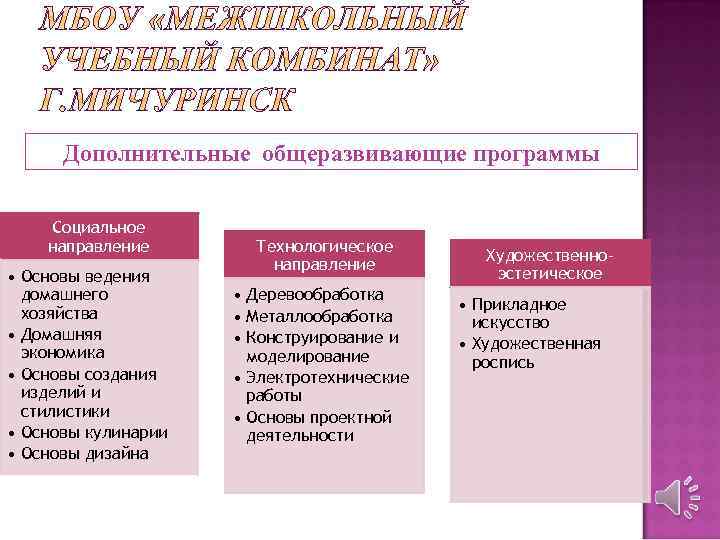 Дополнительные общеразвивающие программы Социальное направление • Основы ведения домашнего хозяйства • Домашняя экономика •