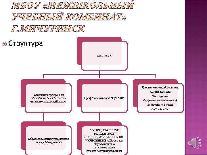  Структура МБУ МУК Реализация программы технология 5 -9 классы по сетевому взаимодействию Профессиональное