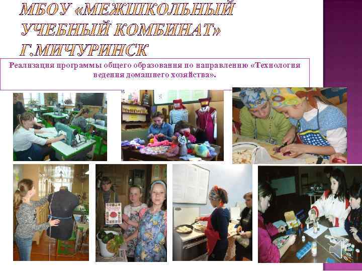 Реализация программы общего образования по направлению «Технология ведения домашнего хозяйства» . 