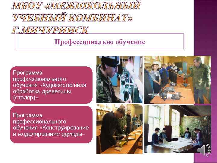 Профессионально обучение Программа профессионального обучения «Художественная обработка древесины (столяр)» Программа профессионального обучения «Конструирование и