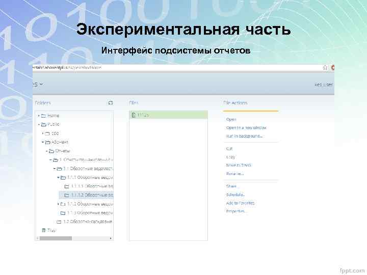 Экспериментальная часть Интерфейс подсистемы отчетов 