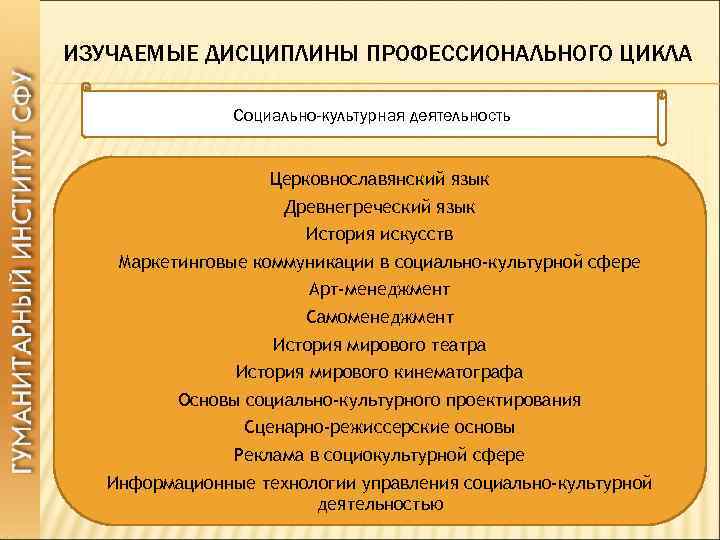 ИЗУЧАЕМЫЕ ДИСЦИПЛИНЫ ПРОФЕССИОНАЛЬНОГО ЦИКЛА Социально-культурная деятельность Церковнославянский язык Древнегреческий язык История искусств Маркетинговые коммуникации