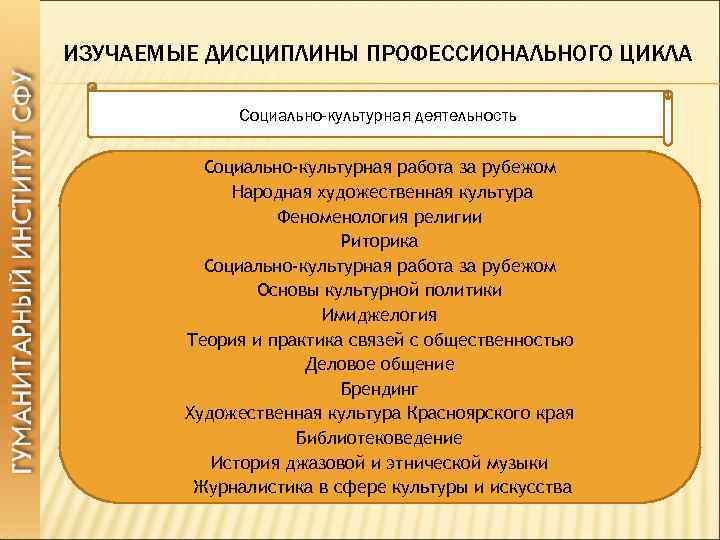 ИЗУЧАЕМЫЕ ДИСЦИПЛИНЫ ПРОФЕССИОНАЛЬНОГО ЦИКЛА Социально-культурная деятельность Социально-культурная работа за рубежом Народная художественная культура Феноменология