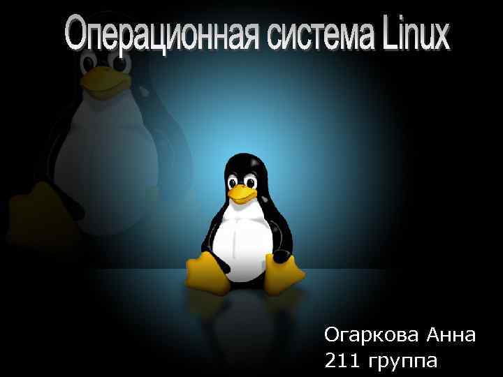 Огаркова Анна 211 группа 