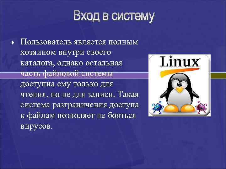 } Пользователь является полным хозяином внутри своего каталога, однако остальная часть файловой системы доступна