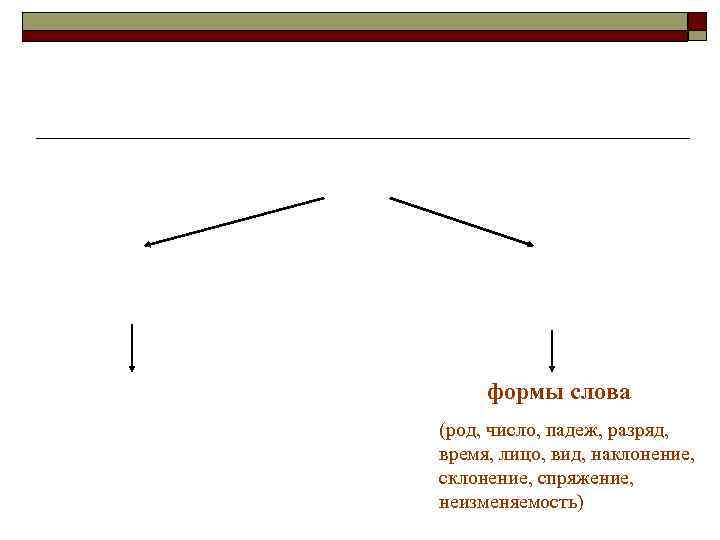 формы слова (род, число, падеж, разряд, время, лицо, вид, наклонение, спряжение, неизменяемость) 