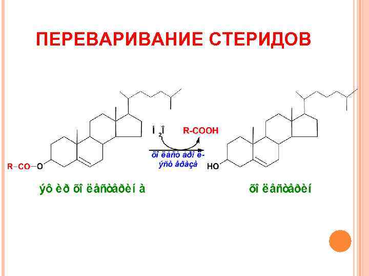ПЕРЕВАРИВАНИЕ СТЕРИДОВ 