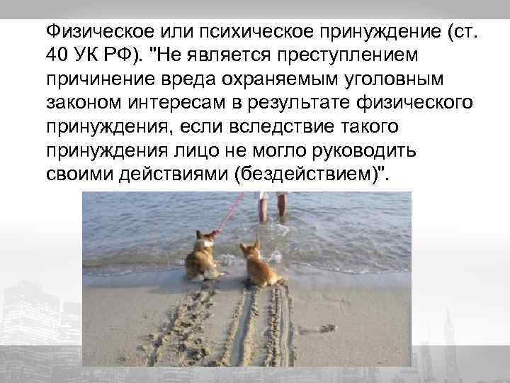 Физическое или психическое принуждение (ст. 40 УК РФ). 