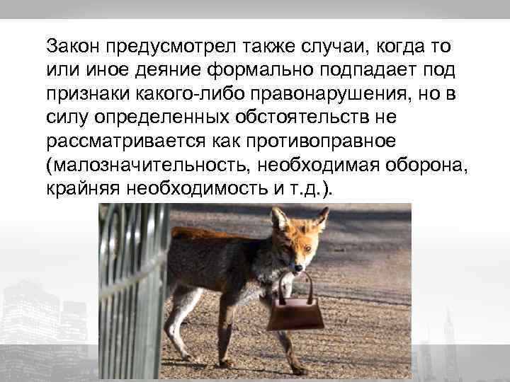 Закон предусмотрел также случаи, когда то или иное деяние формально подпадает под признаки какого-либо