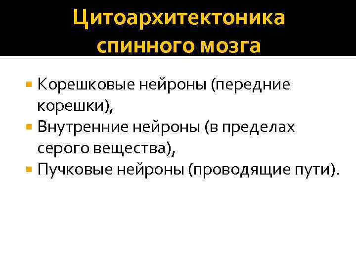 Цитоархитектоника спинного мозга Корешковые нейроны (передние корешки), Внутренние нейроны (в пределах серого вещества), Пучковые