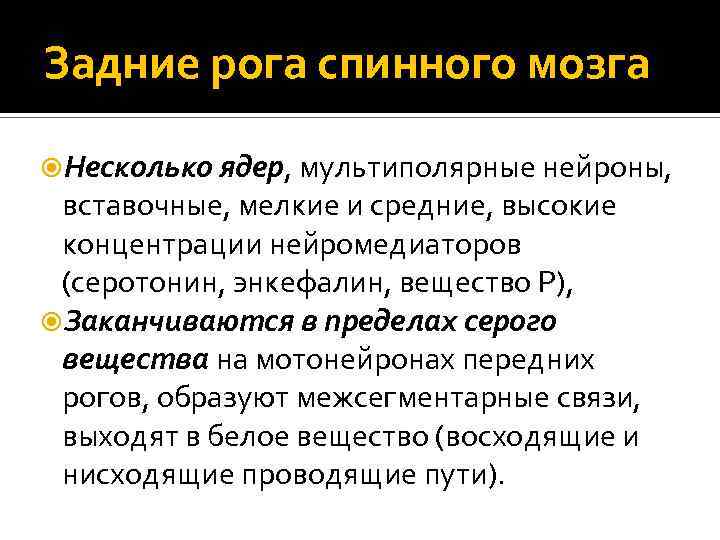 Задние рога спинного мозга Несколько ядер, мультиполярные нейроны, вставочные, мелкие и средние, высокие концентрации