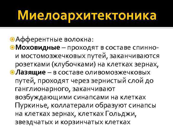 Миелоархитектоника Афферентные волокна: Моховидные – проходят в составе спинно- и мостомозжечковых путей, заканчиваются розетками