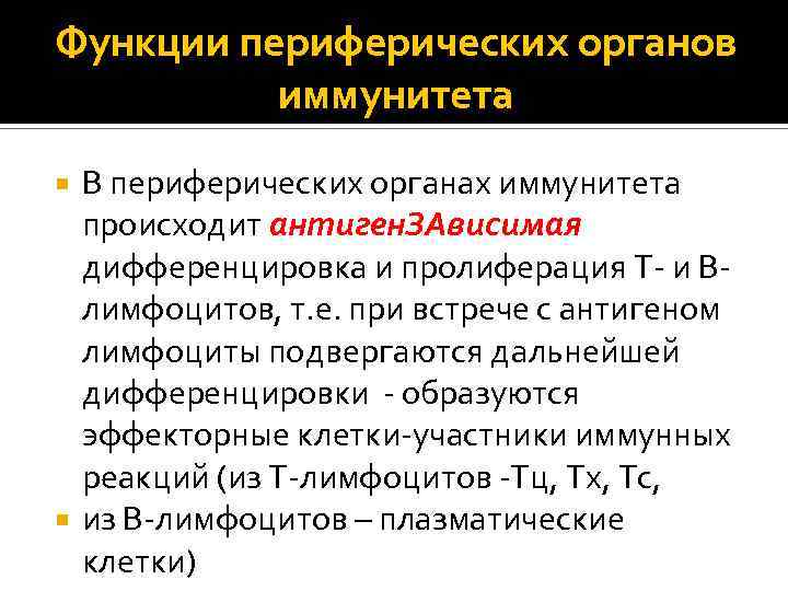 Функции периферических органов. В периферических органах иммунной системы происходит. Дифференцировка органов иммунной системы. Общая функция периферических иммунных органов.